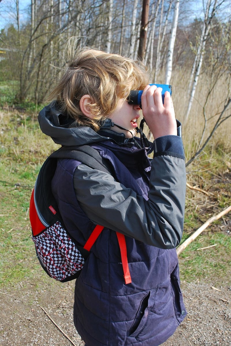Cardboard Tube Binoculars